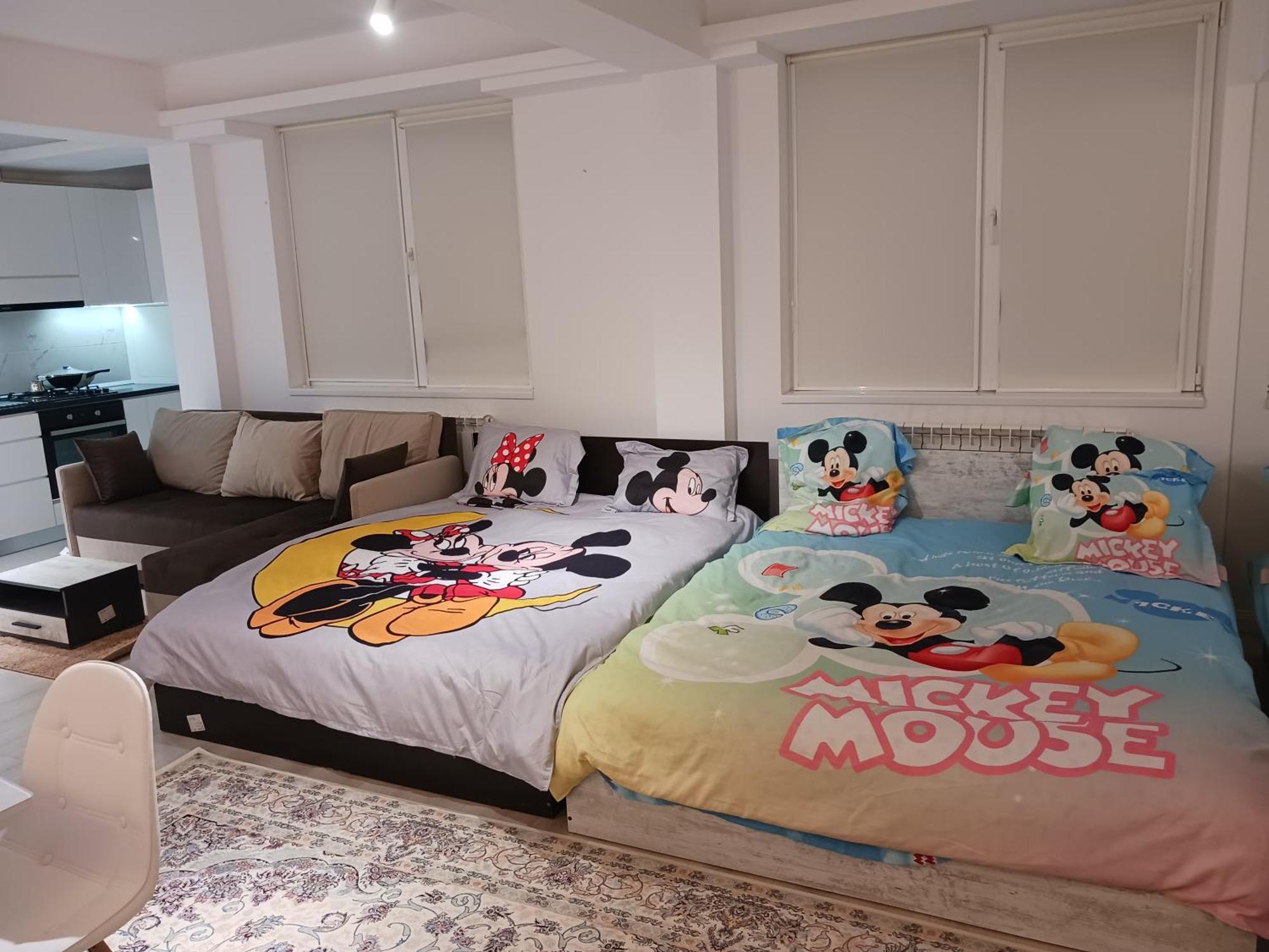 Apartment Myky Mouse Nu Primesc Santieristi Si Petrecareti Bucharest