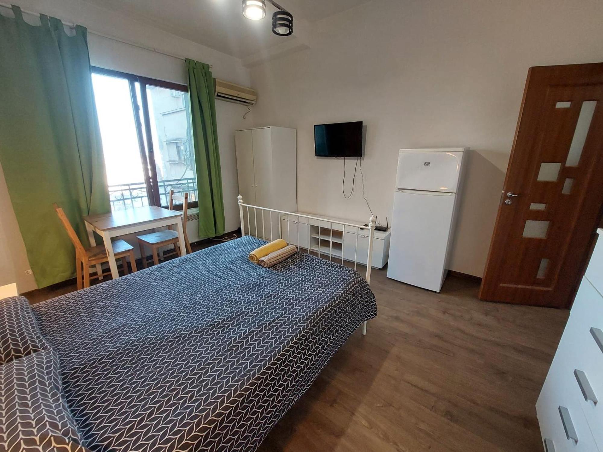 Apartment Vasile Conta *