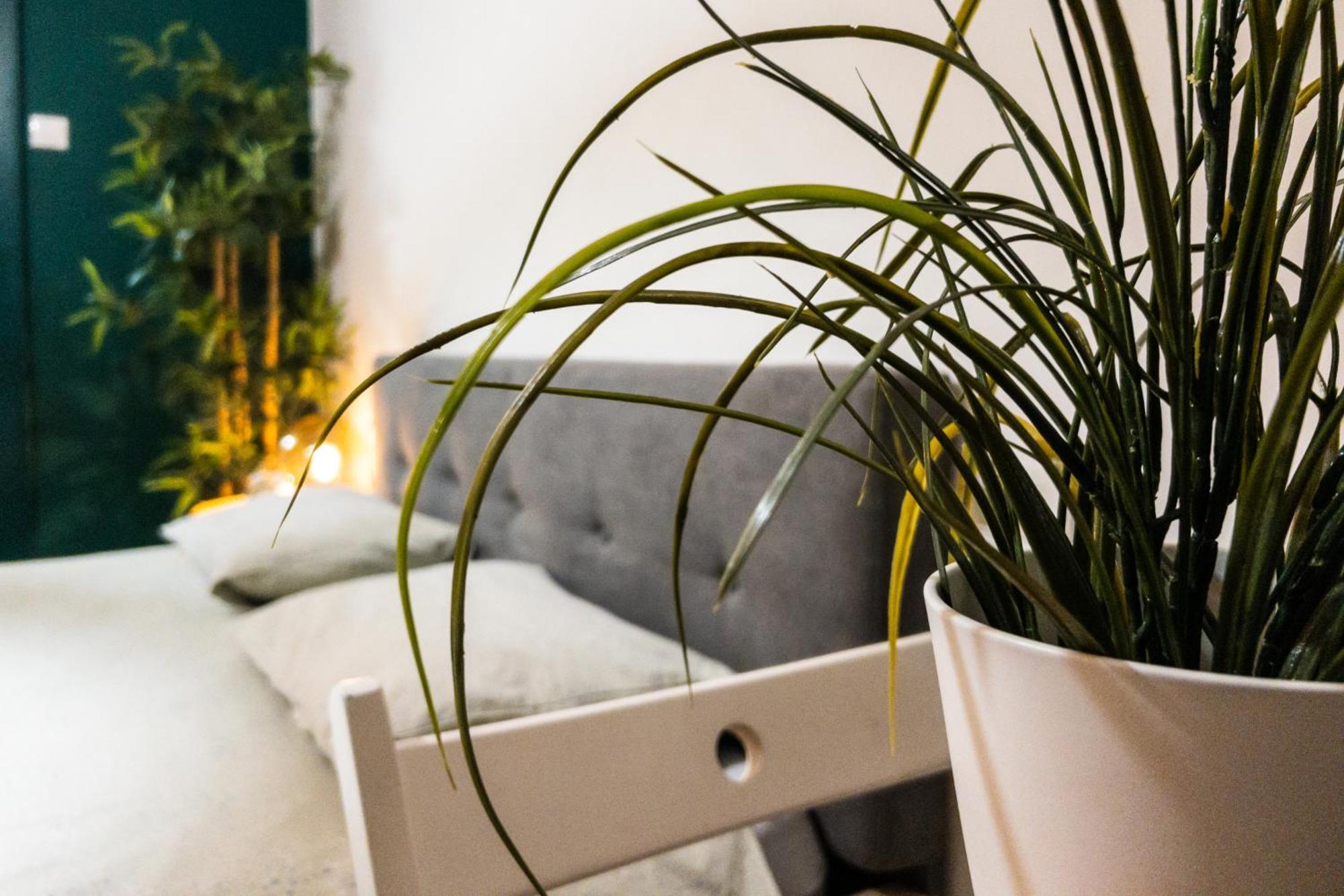 Elegant Urban - Heart Of Calea Victoriei Apartment *