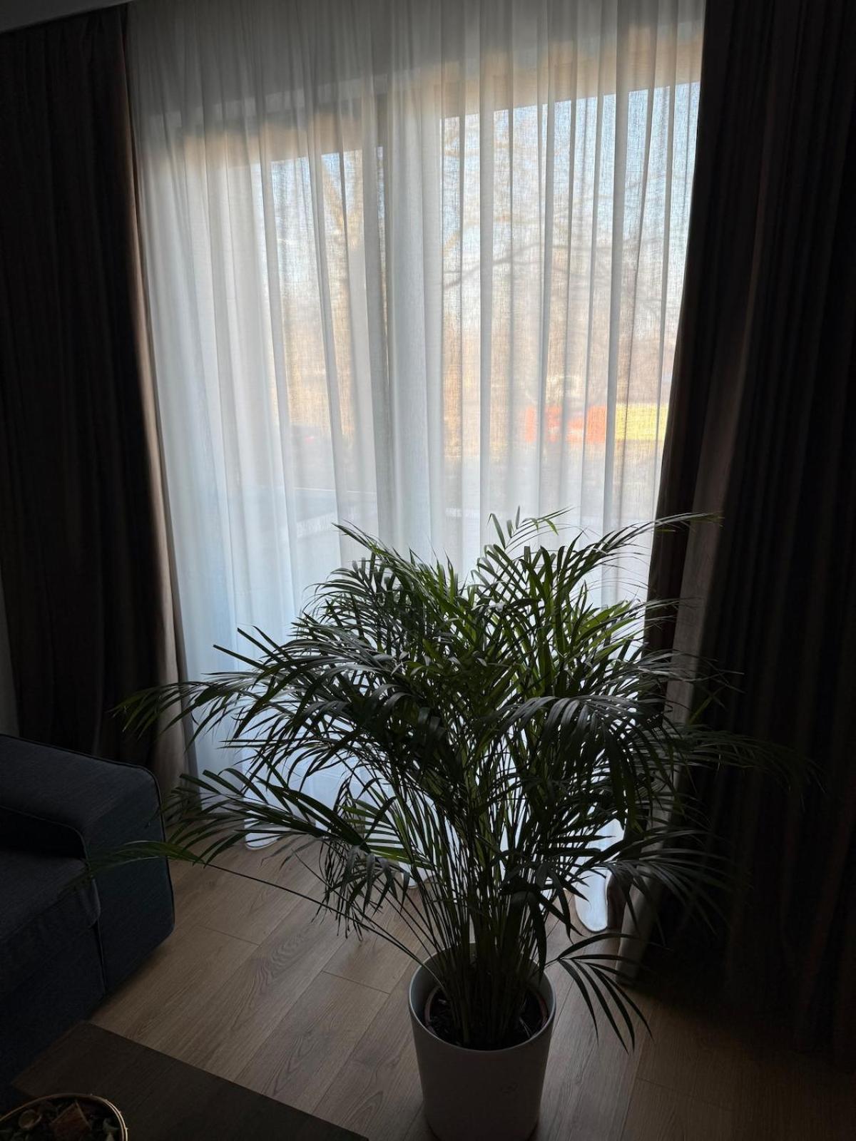 The Urban Retreat Apartment Bucharest