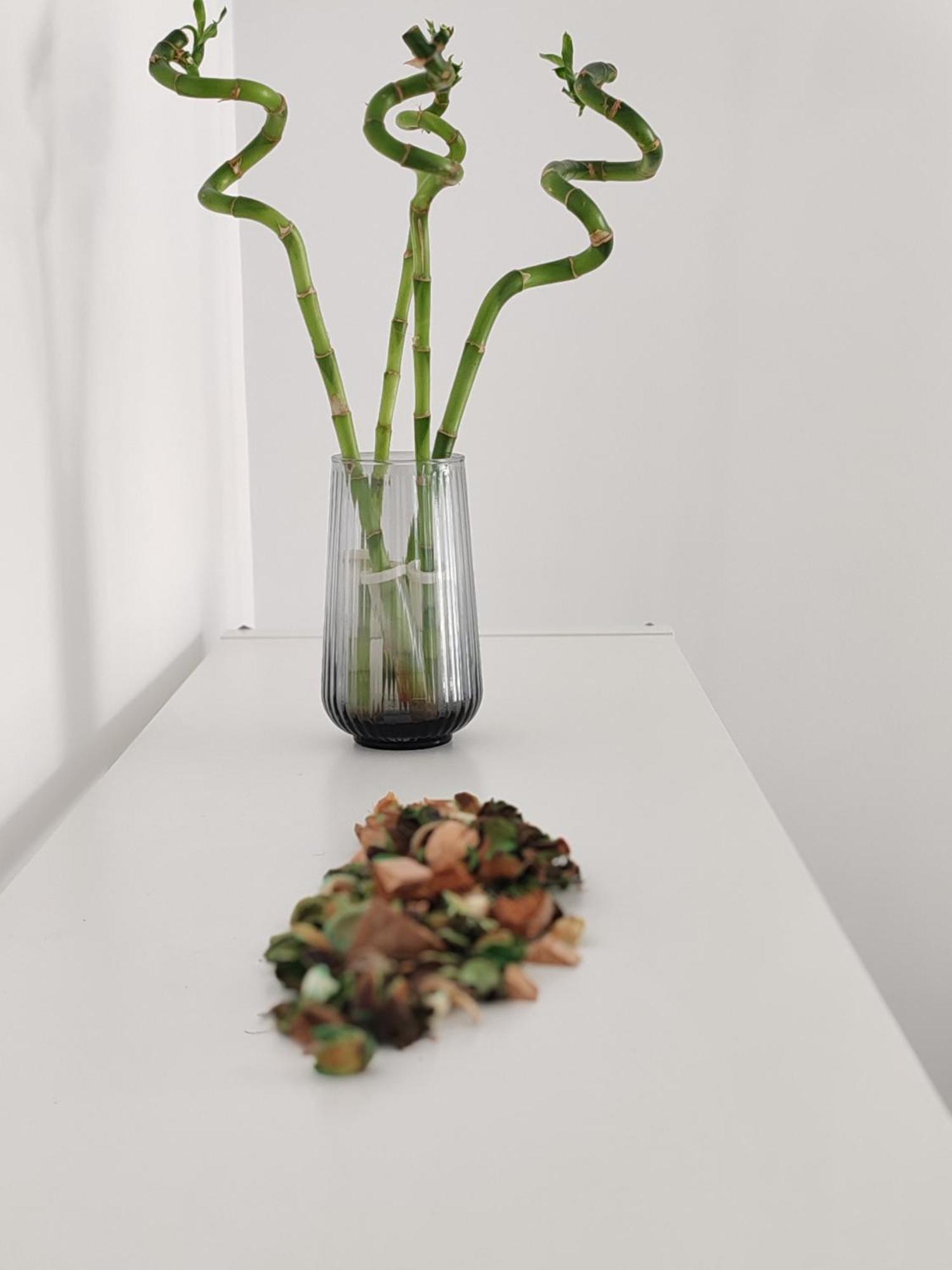 Apartamento Corporate *