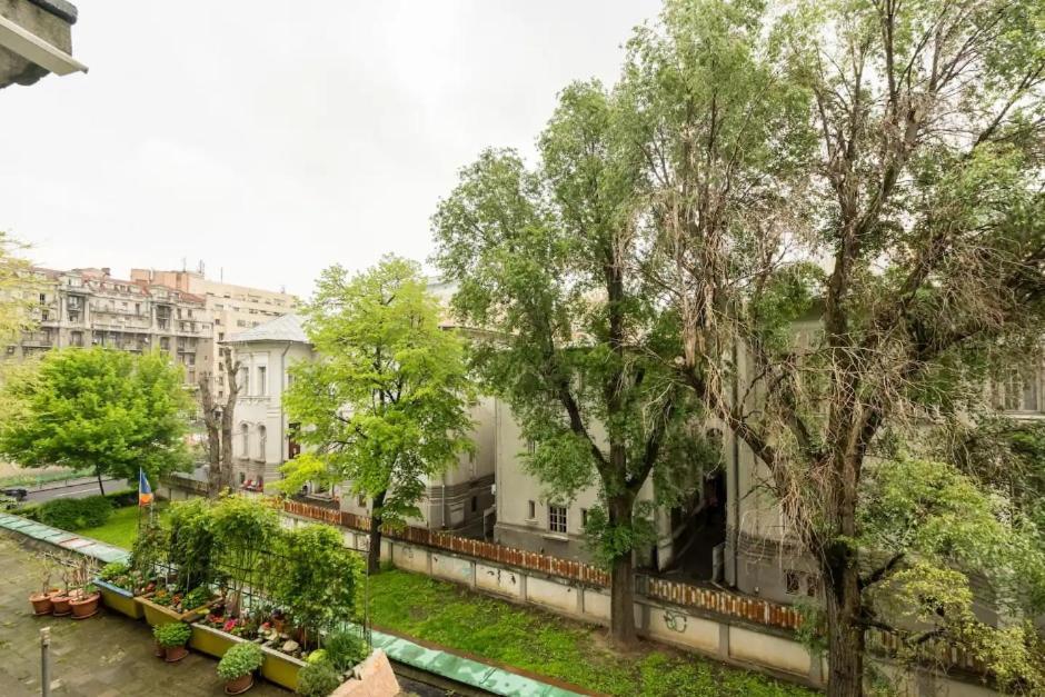 Apartment Charming & 1br