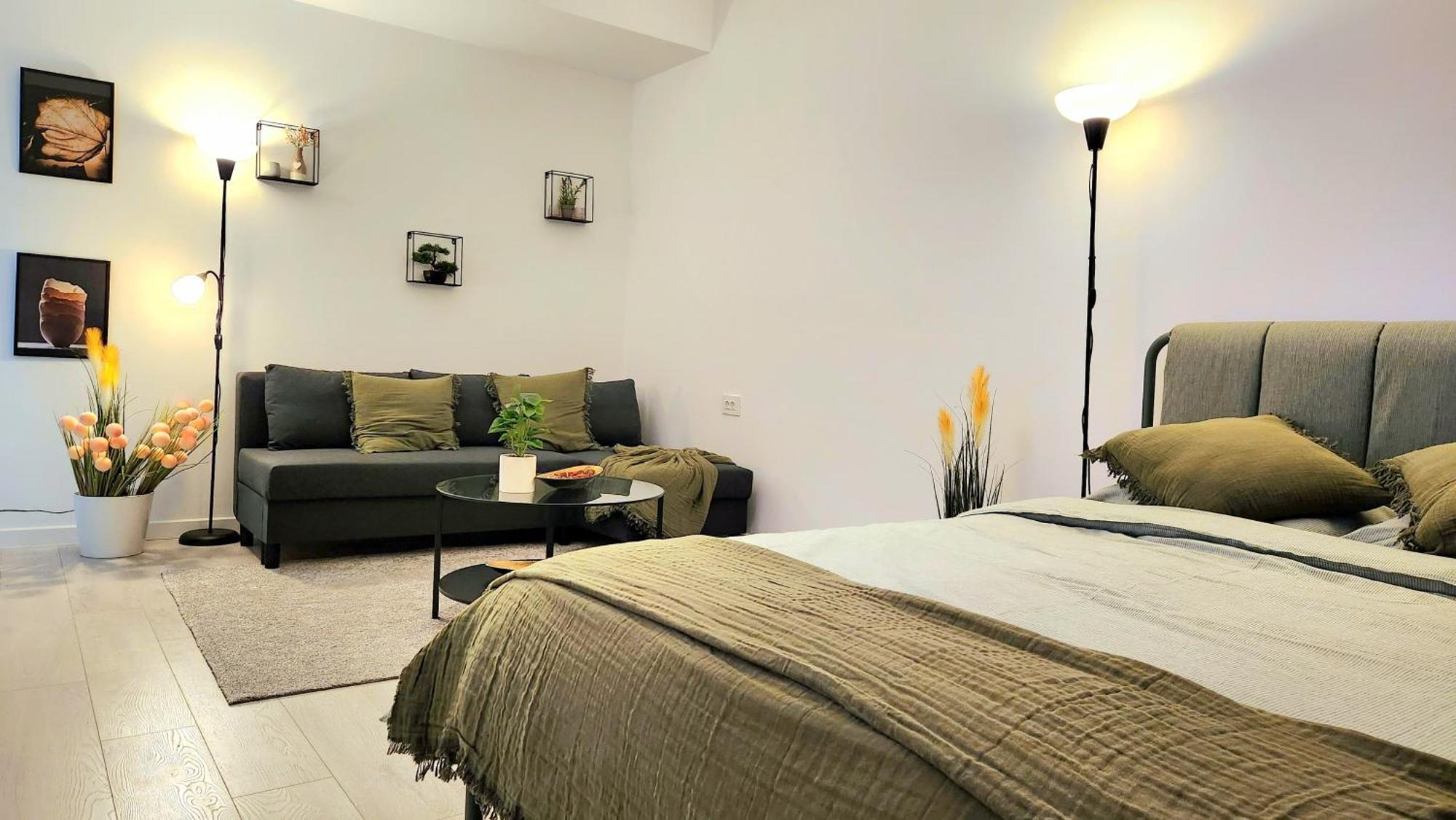 Apartment Den Pacii *