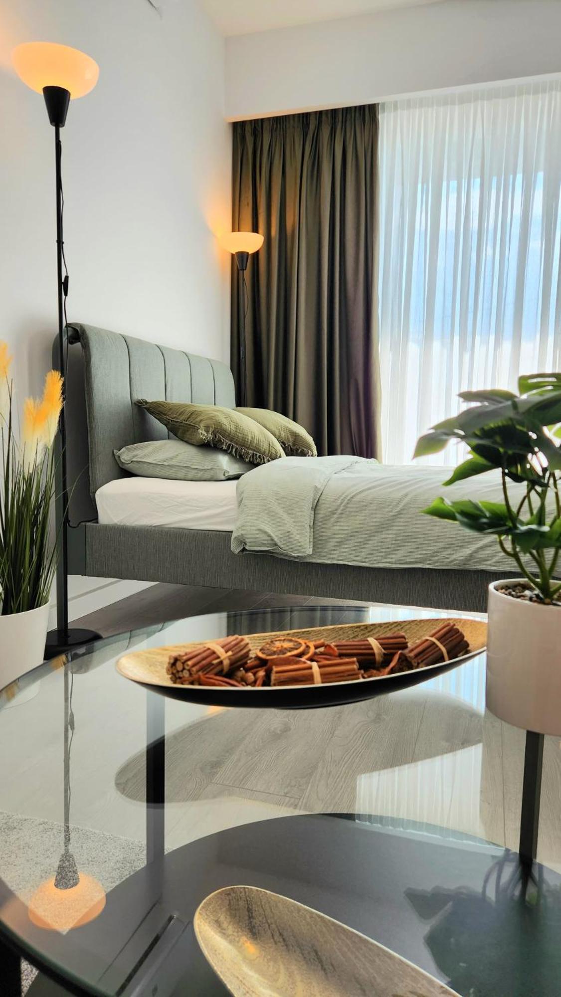 Apartment Den Pacii *