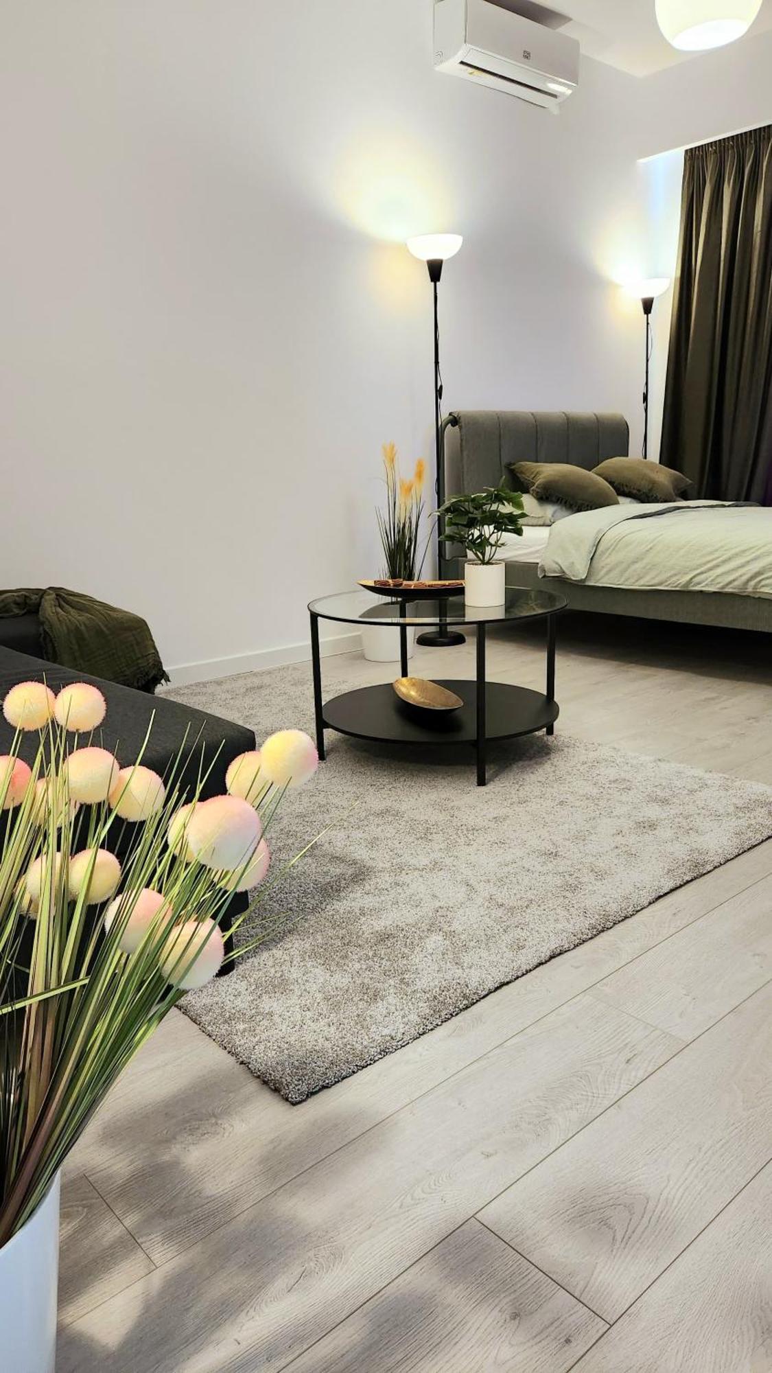 Apartment Den Pacii Bucharest
