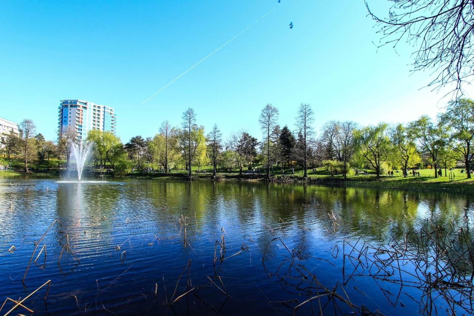 No 902 Circului Park Tower