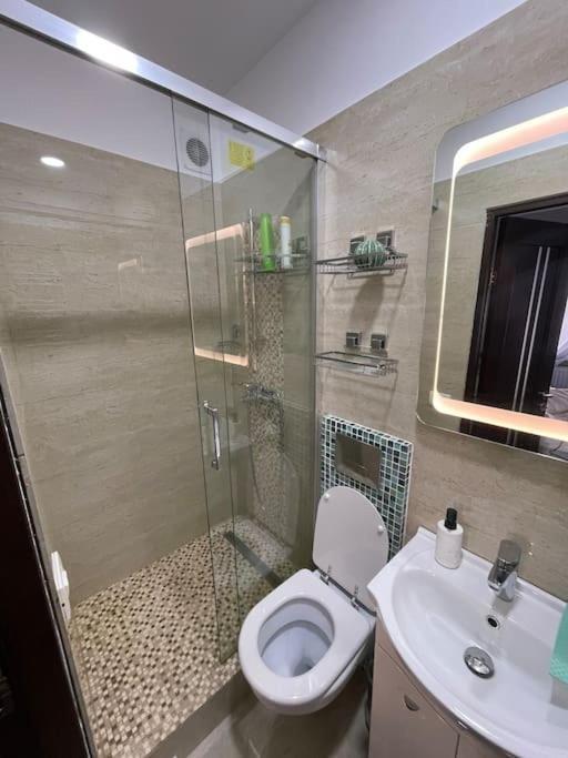 Victoriei Light Apartment