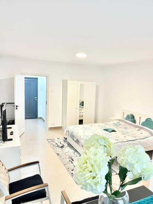 Spatios Plaza Mall, Park Drumul Taberei Apartment