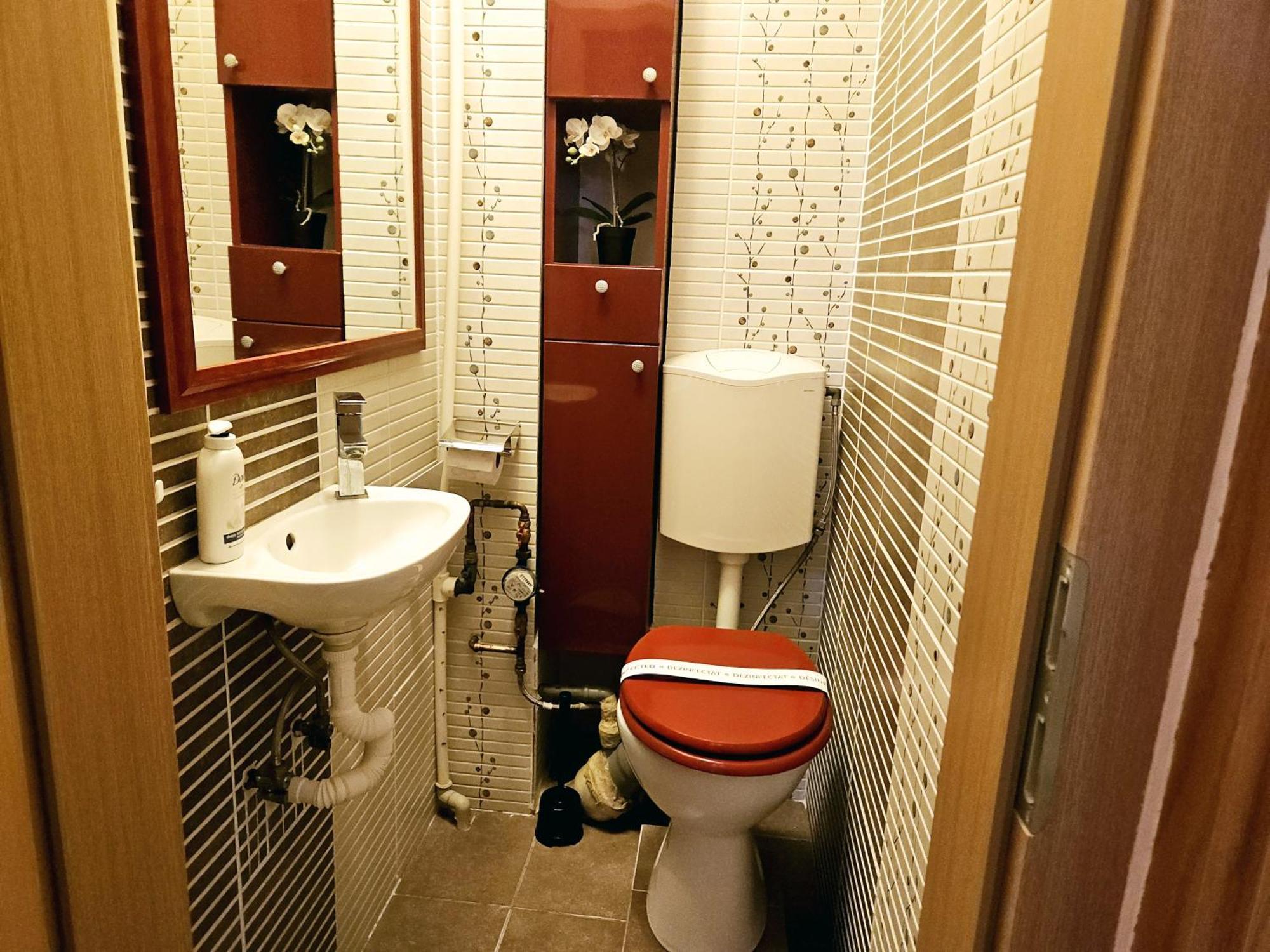 Apartment Bliss -ultracentral *
