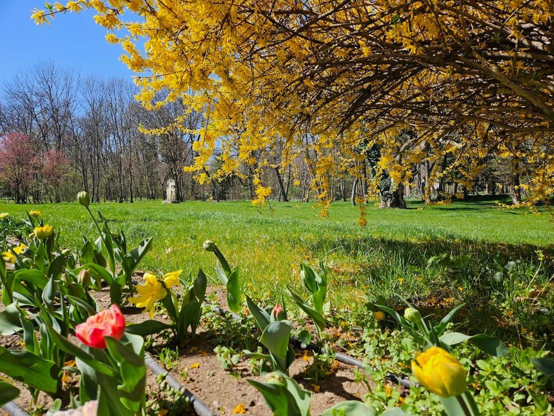 Eclectic Romexpo 2br Near Metro Apartment Bucharest