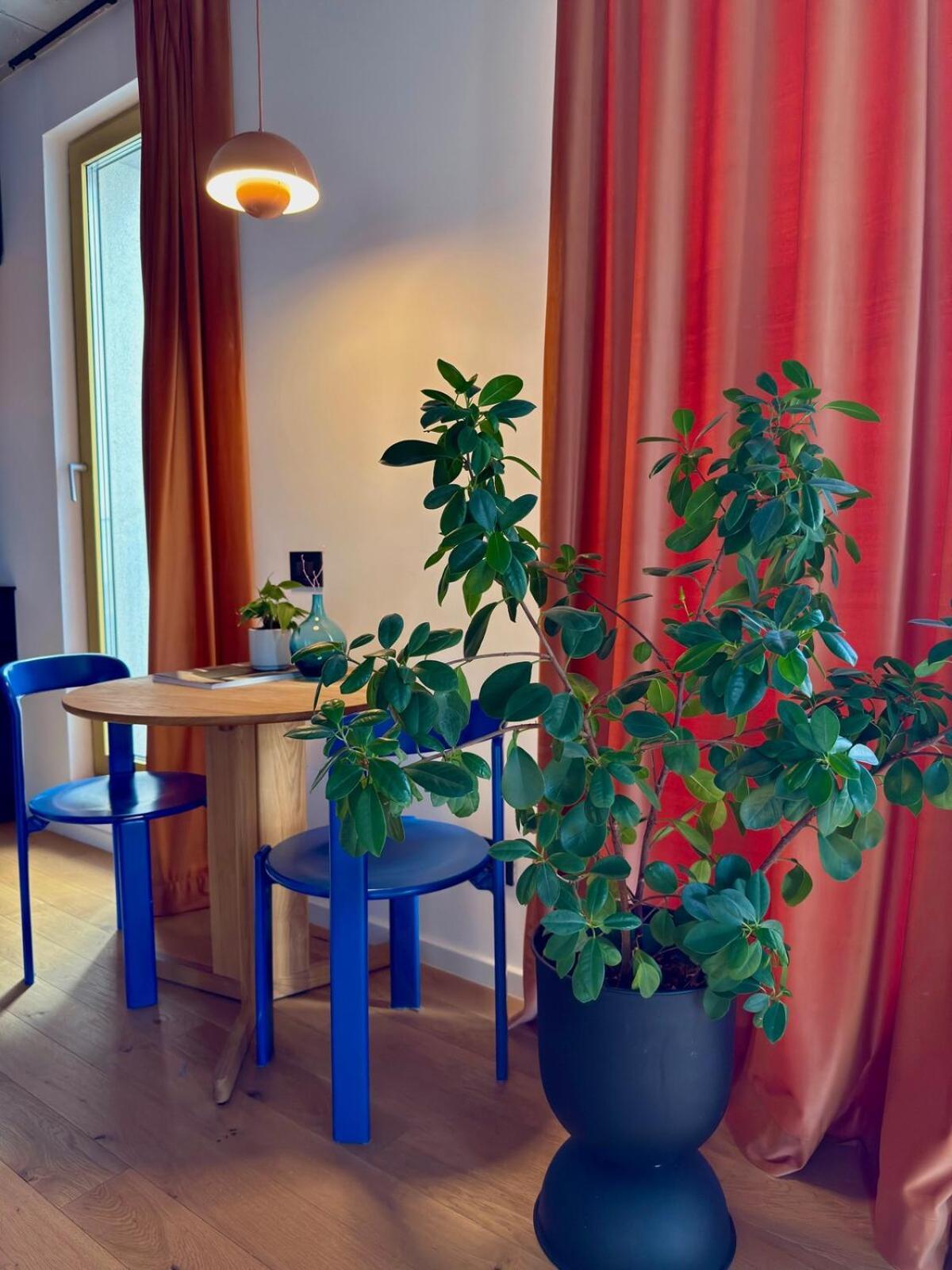 Apartment Nook 48 Victoriei New Building With Parking And Security