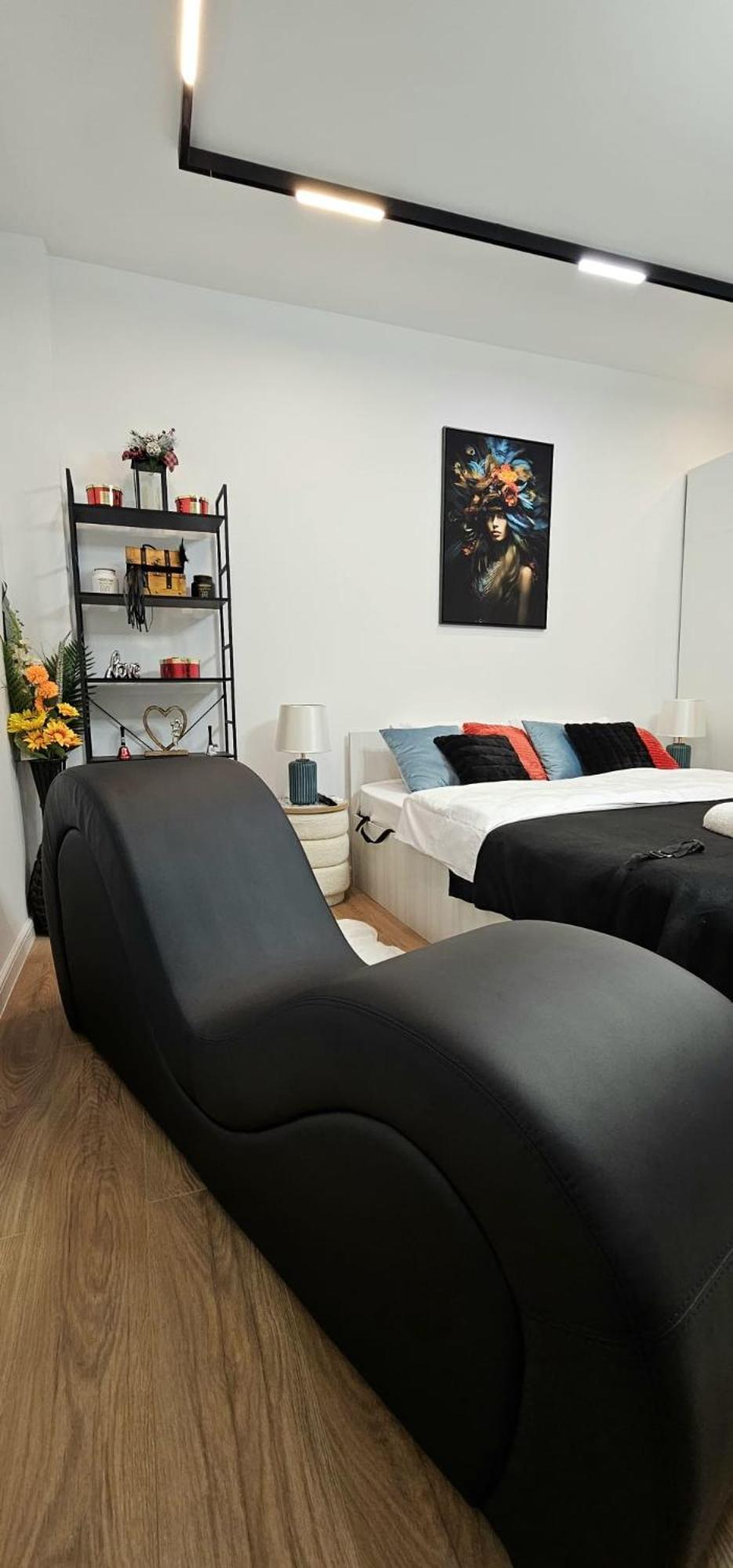 Tantra 4 Calea Victoriei Amzei Apartment *