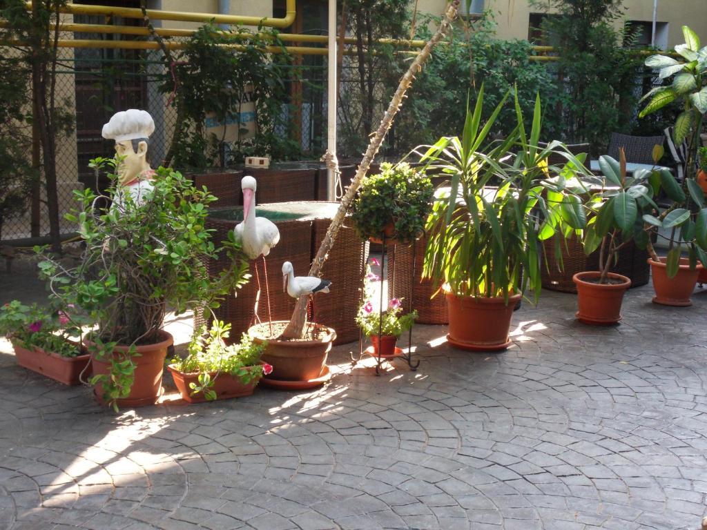 Grand Pier Boutique 4 Stars Villa, Art Museum Deluxe Rooms,best Break From 59 Eur Per Night With Free Italian Breakfast For Minim 4 Nights Pousada *