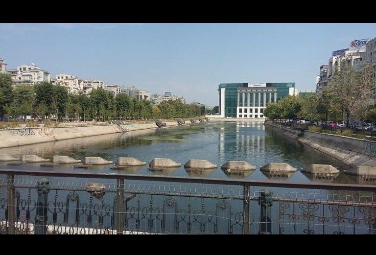 Uniriicc * Bucureşti