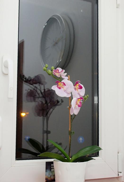 Fancy 1bd Family Friendly In Historical Centre *