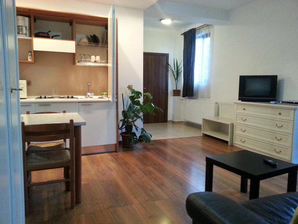 Apartment Banu Manta Bucharest
