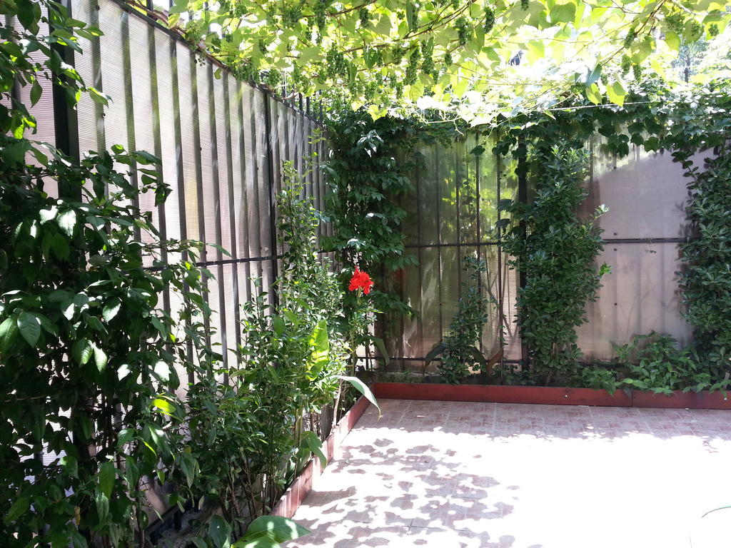 Apartment Banu Manta