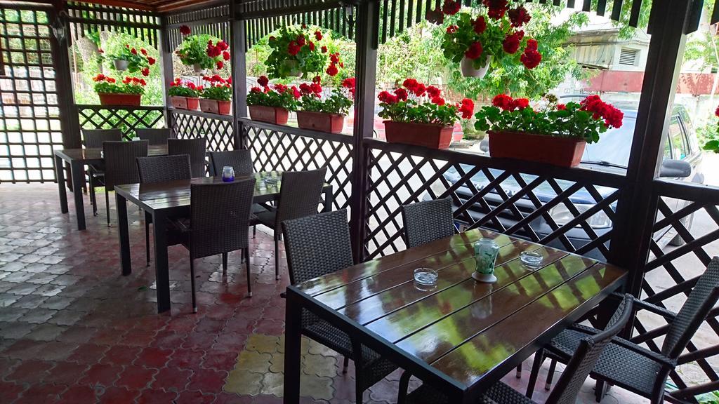 Hotel Pui De Urs 3*