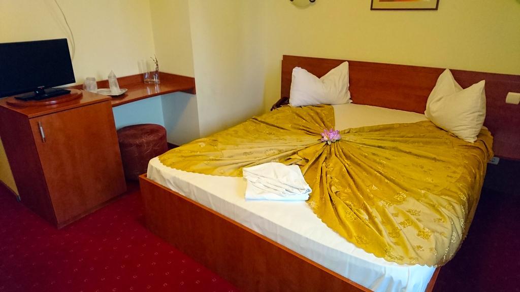Hotel Pui De Urs