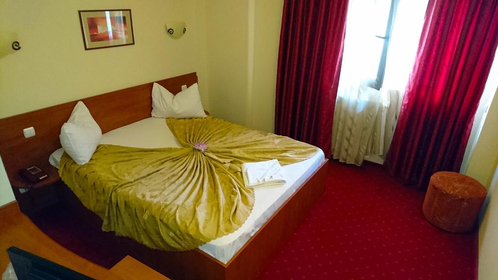 Hotel Pui De Urs 3*