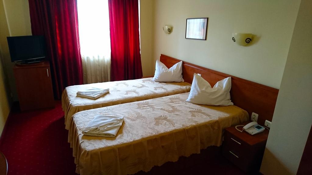 Pui De Urs Bucureşti