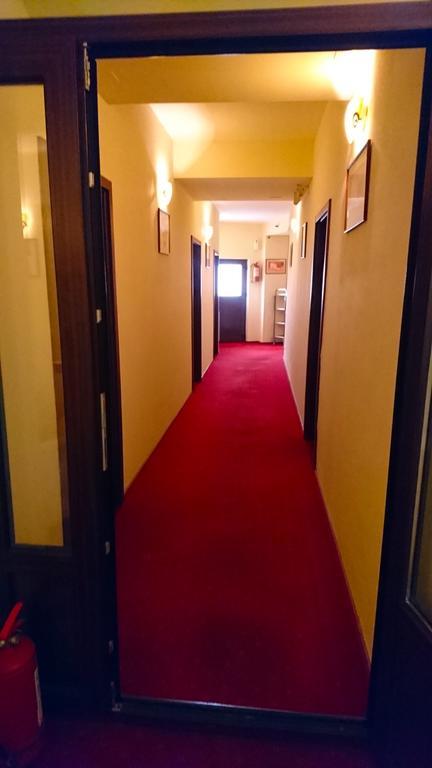 Hotel Pui De Urs