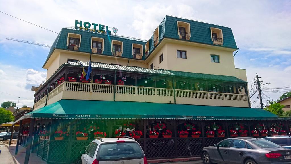 Hotel Pui De Urs 3*
