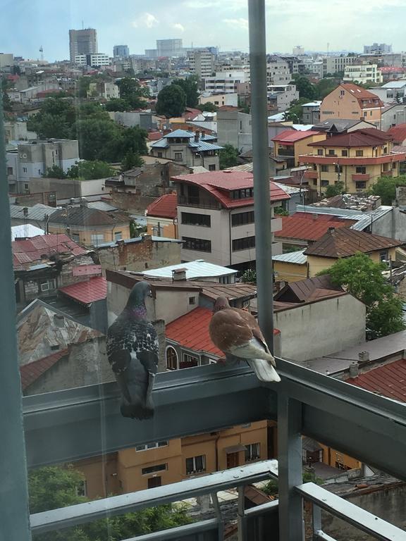Apartment New Roof View Bucharest