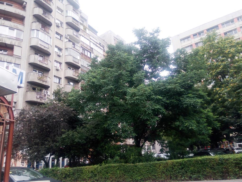 Apartamento Dana Bucareste