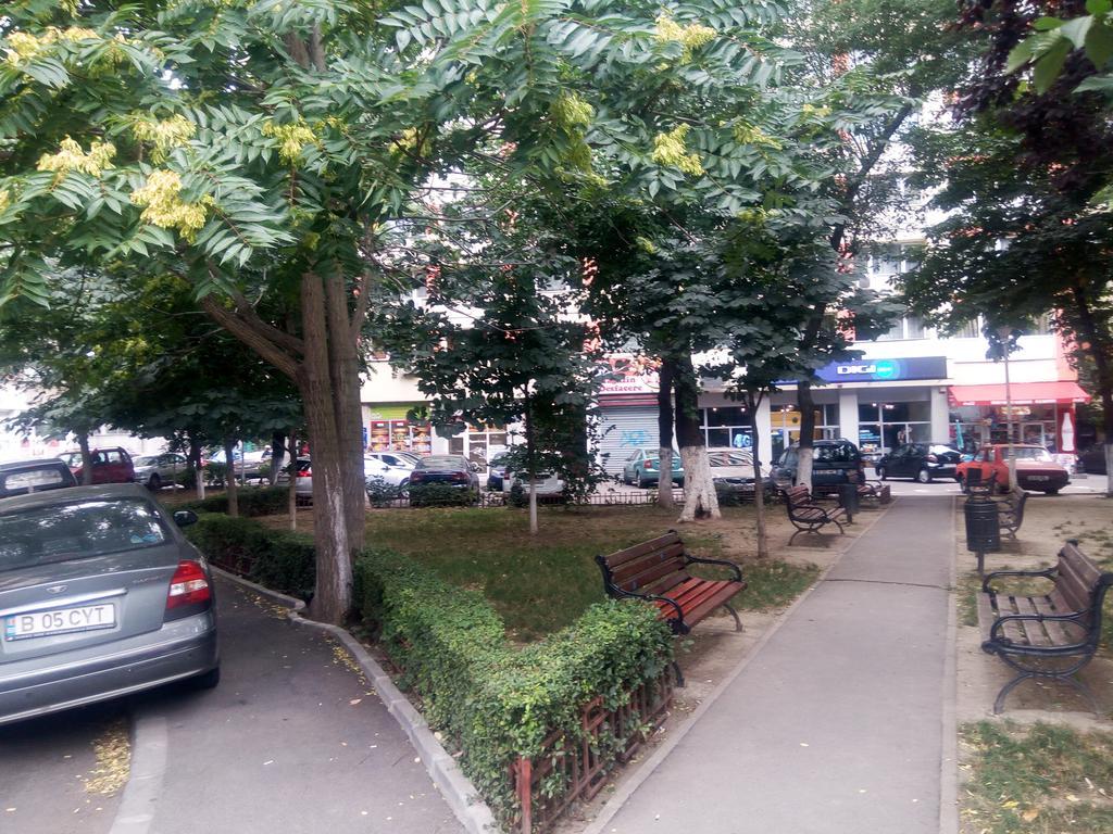 Apartamento Dana