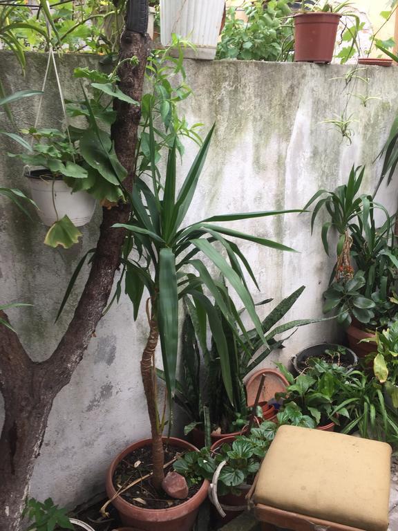 B&B Vila 11