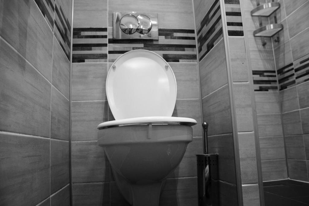 Apartament Central Cismigiu * Bucharest