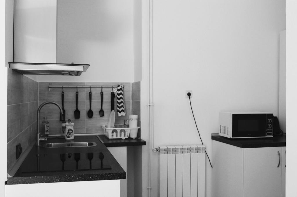 Apartament Central Cismigiu Apartment Bucharest