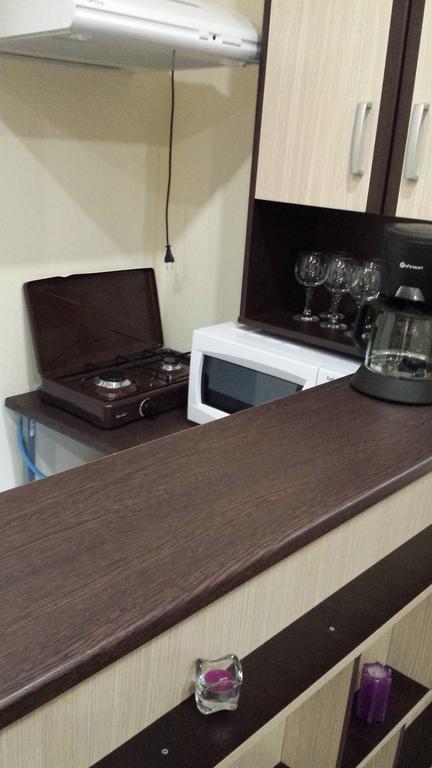 Rent House Universitate Apartment