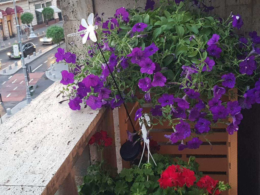 Old Town 2 Bedrooms With Balcony By Orchid Garden * Bucharest