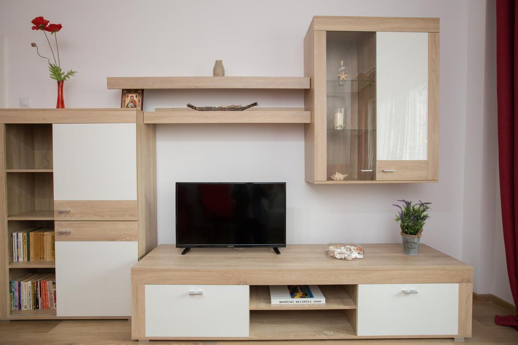 Apartment Mosilor Lux