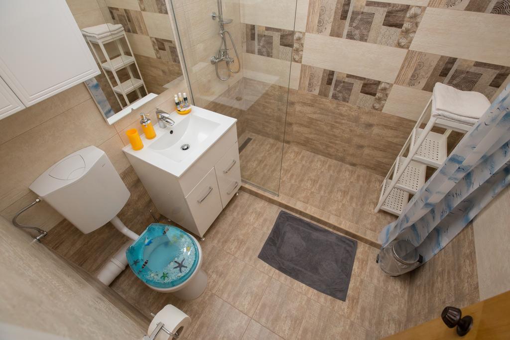 Apartment Mosilor Lux