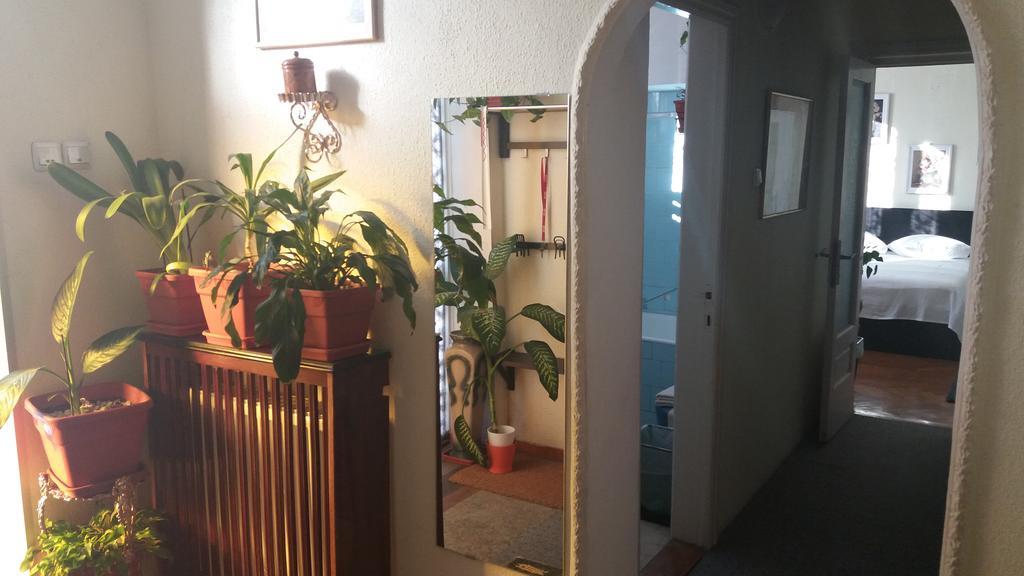 12 Cotroceni Guest house *