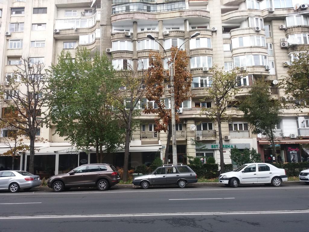 Apartment Garsoniera Matei Basarab 97