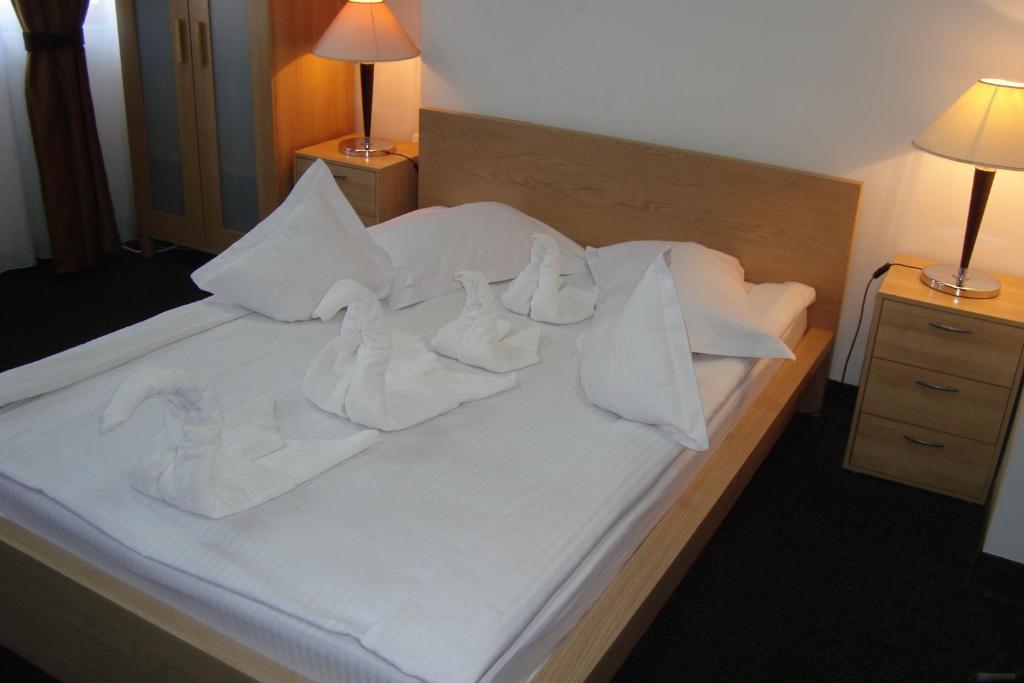 Hostel Litovoi