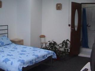 Litovoi Bucureşti
