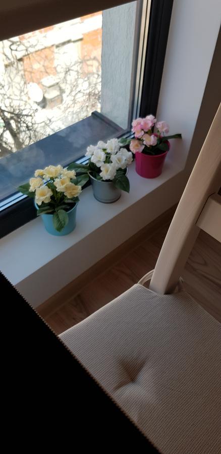 Confort 3 Apartment *