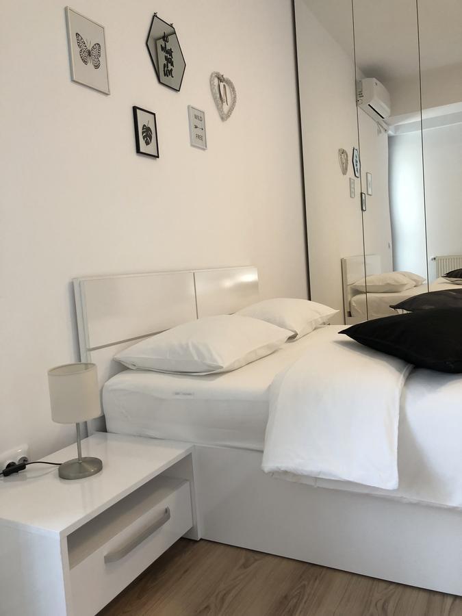 Apartment Confort 3