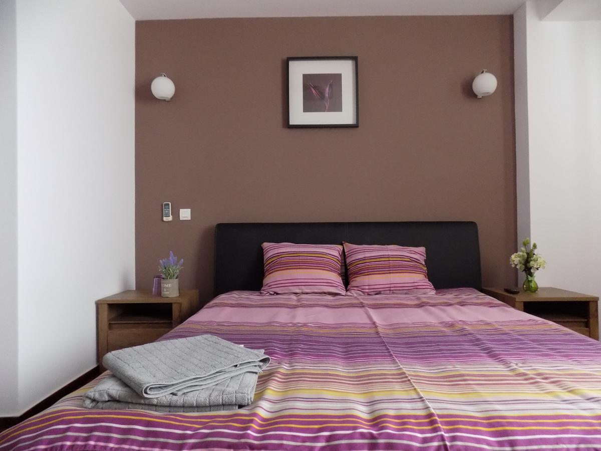 Colosseum Homestay Bucharest