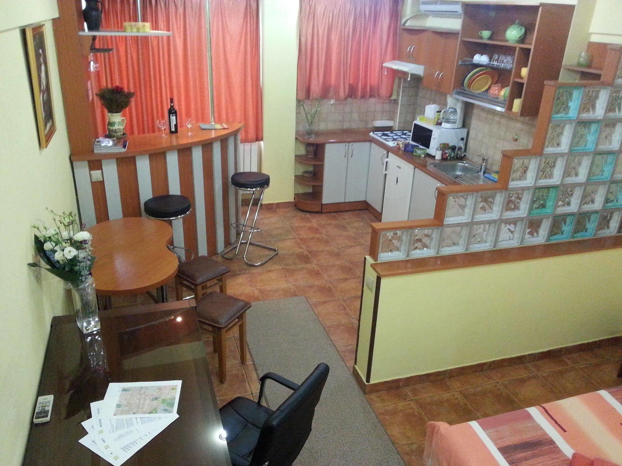 Calea Victoriei Apartment *