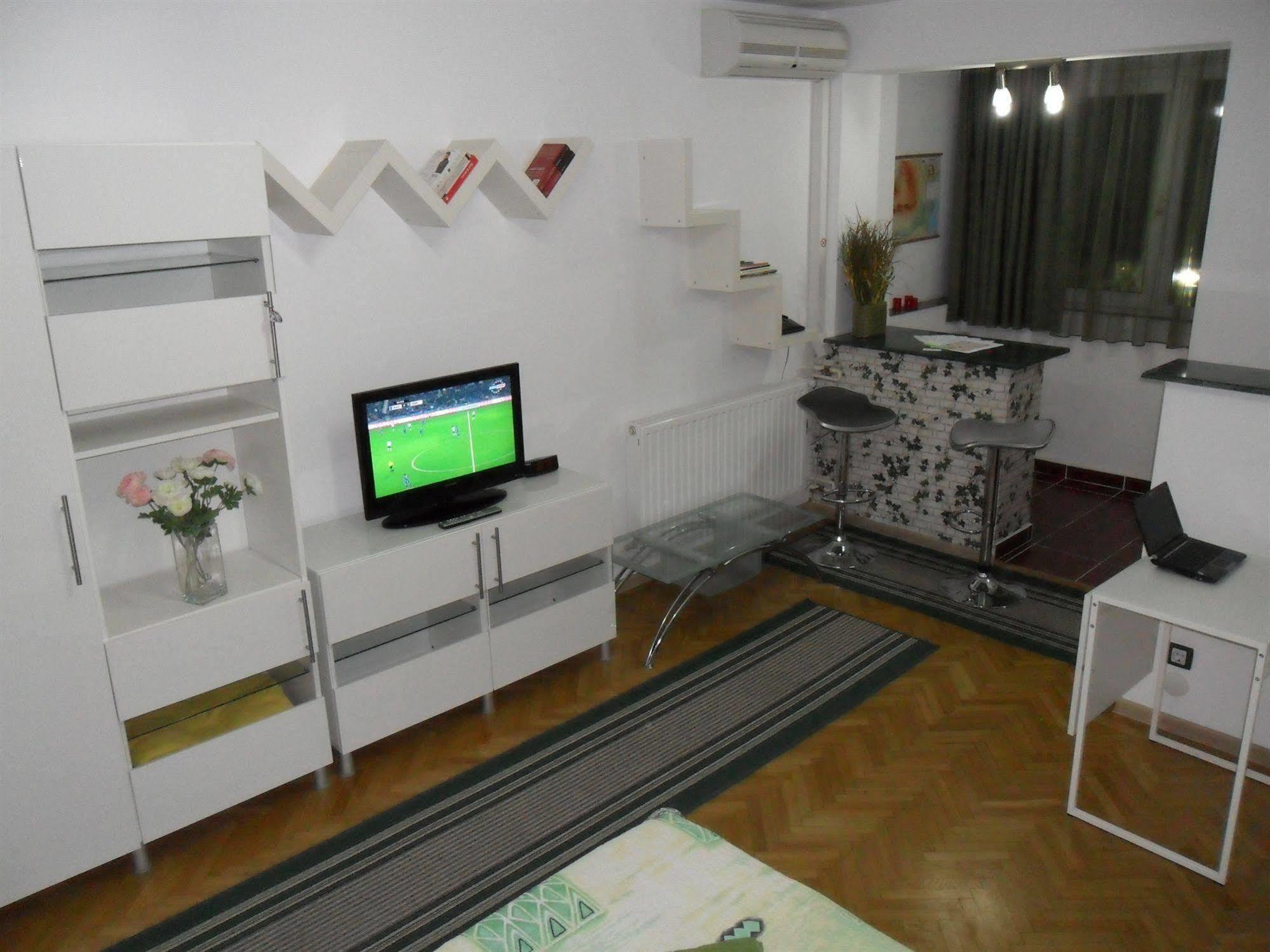 Calea Victoriei Apartment Bucharest