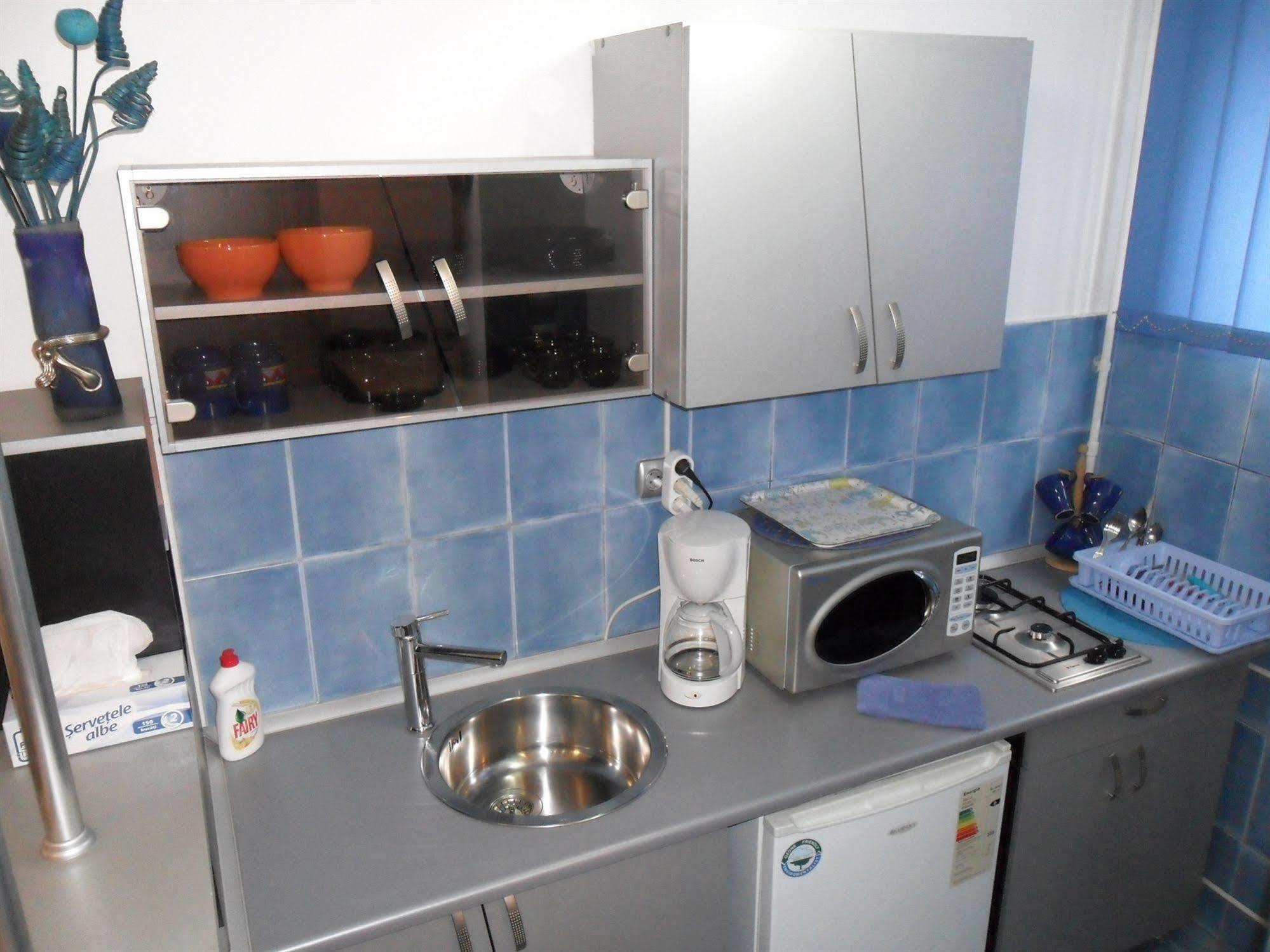Apartment Calea Victoriei Bucharest