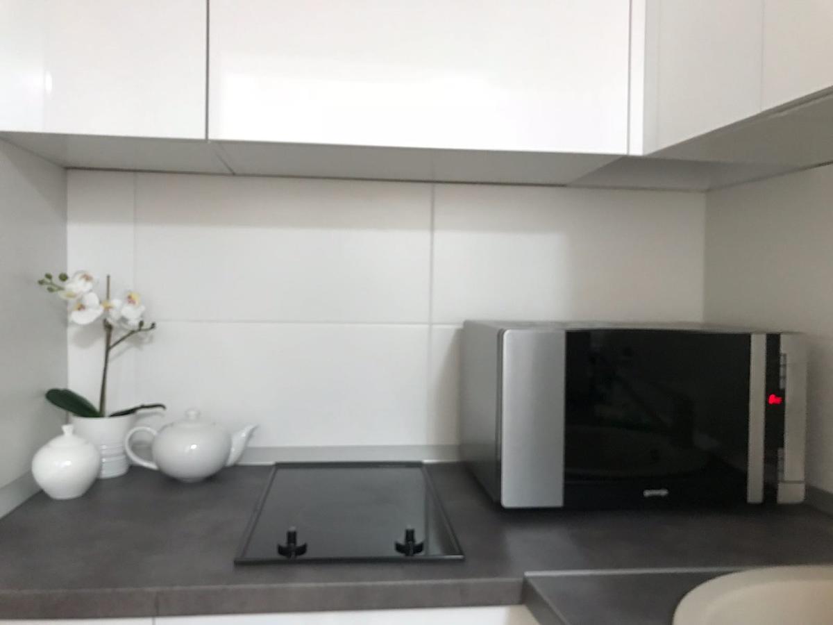 Metropole Invilla Old Apartment Bucharest