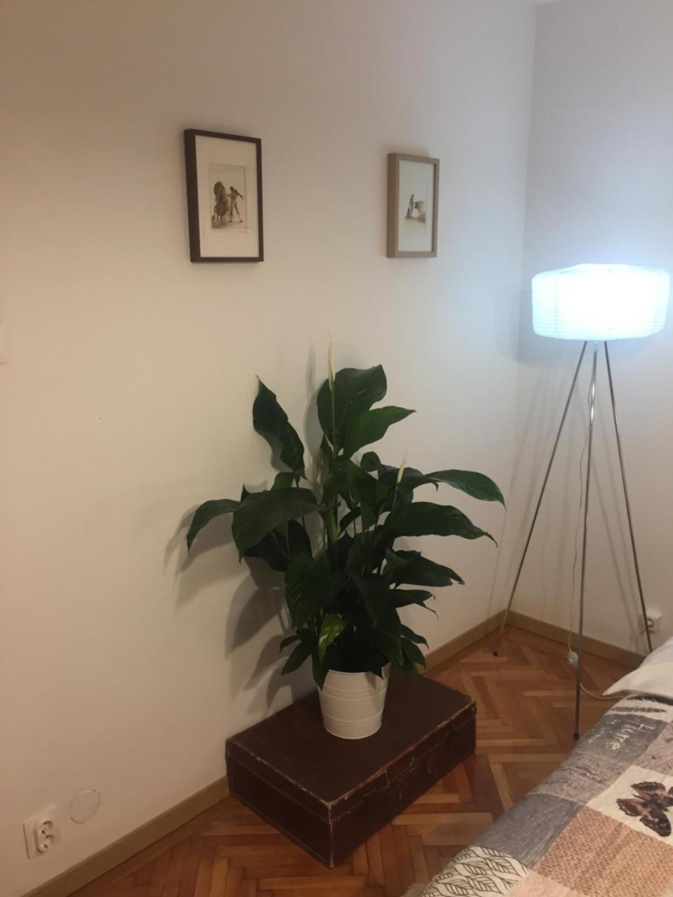Marcy Studio Apartamento
