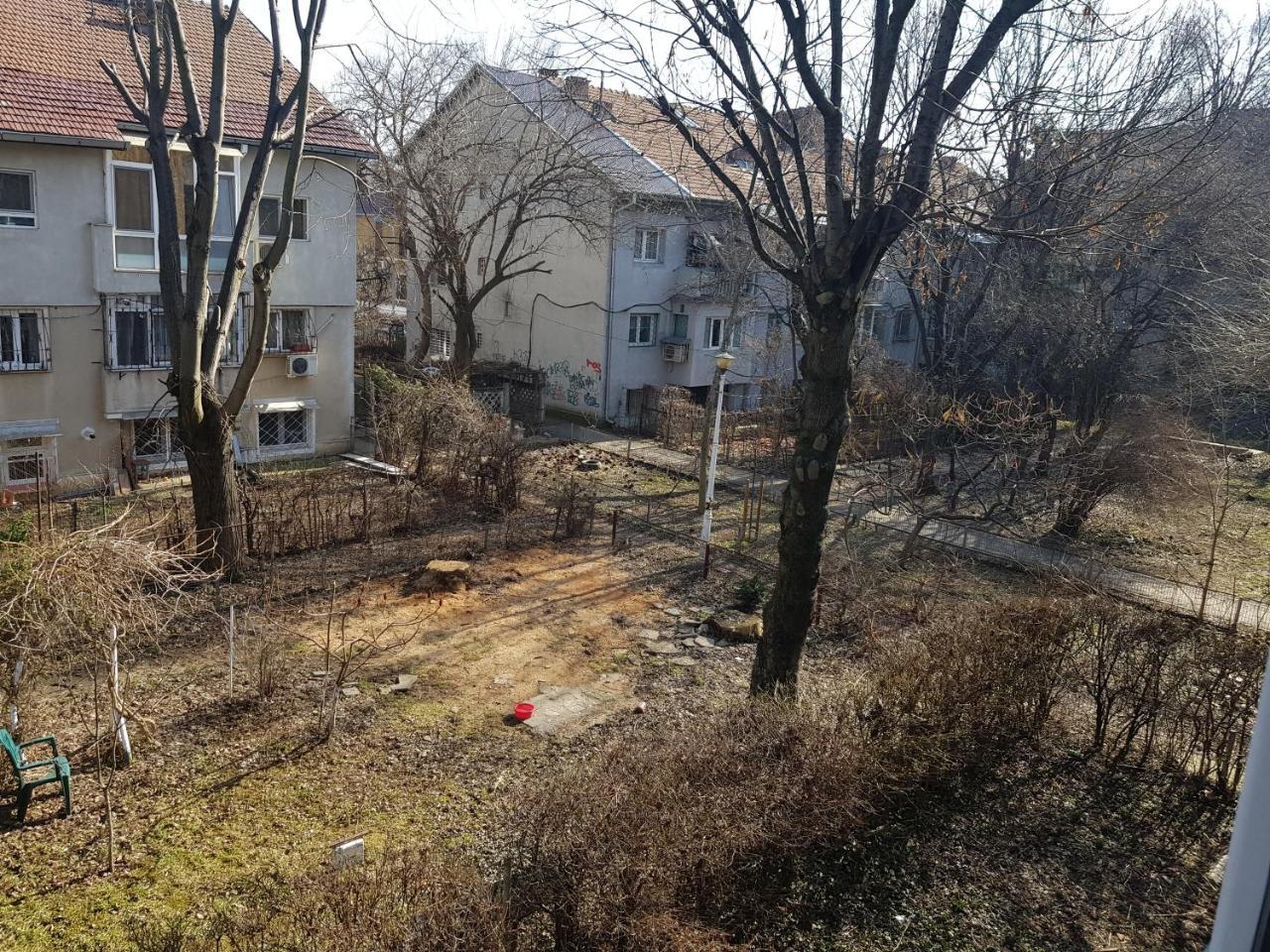 Apartment Floreasca Bucharest